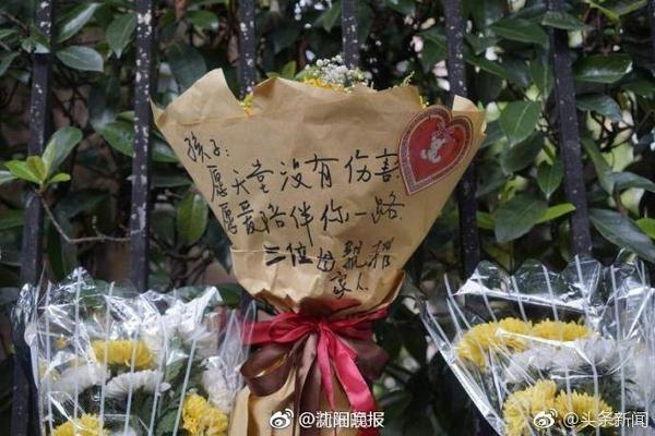 香波特：这个休赛期对恩比德很重要 他得彻底养好身体再回到场上