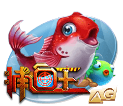 星空综合在线登录官网安卓版